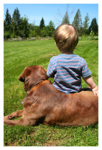 Patience - boy and dog 2013