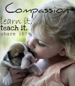 compassion-quote
